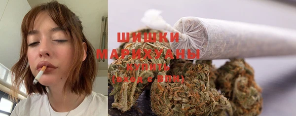 шишки Балабаново