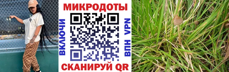 купить   маркетплейс телеграм  Псилоцибиновые грибы Psilocybe  Вуктыл  mega ССЫЛКА 